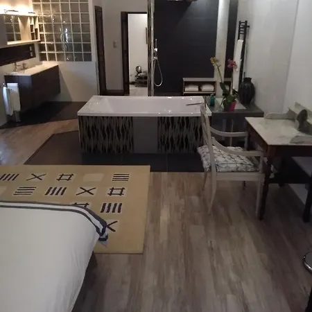 Domaine La Baronne فندق مبيت وإفطار Buzet-sur-Tarn