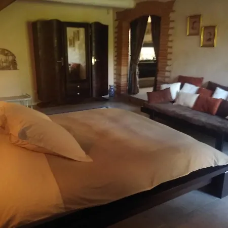 Domaine La Baronne فندق مبيت وإفطار Buzet-sur-Tarn