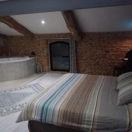 Domaine La Baronne فندق مبيت وإفطار Buzet-sur-Tarn