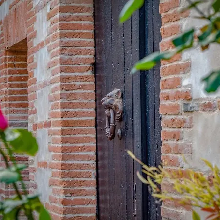 Domaine La Baronne לינה וארוחת בוקר Buzet-sur-Tarn