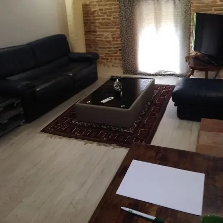 לינה וארוחת בוקר Domaine La Baronne Buzet-sur-Tarn